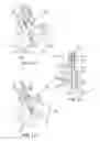 Fig. 06 - Tissue Grasping and Wound Closing/Hemostasis/Clipping Device