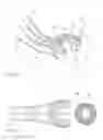 Fig. 06 - Orthopedic fastener, retainer, and guide methods