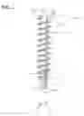 Fig. 02 - Bone screw
