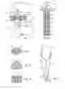 Fig. 07 - Method and device for producing an anchorage in human or animal tissue