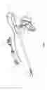 Fig. 02 - Endoscopic surgical instrument
