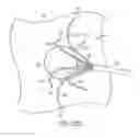 Fig. 20 - ELECTRICAL ABLATION DEVICES COMPRISING AN INJECTOR CATHETER ELECTRODE