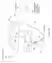 Fig. 03 - Device and Method for Tracking the Position of an Endoscope within a Patient's Body