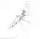 Fig. 01 - ORTHODONTIC PLATE FIXED TO MANDIBULAR RAMUS