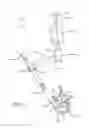 Fig. 09 - Spinal implant inserter utilizing offset striking arms