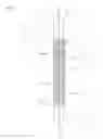 Fig. 01 - Porous ureteral stent