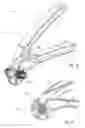 Fig. 07 - Crimper device