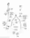 Fig. 18 - Apparatus and method for stabilization of procedural catheter in tortuous vessels