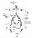 Fig. 26 - Apparatus and method for stabilization of procedural catheter in tortuous vessels