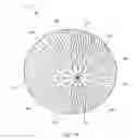 Fig. 13 - System and method for improving the accomodative amplitude and increasing the refractive power of the human lens with a laser