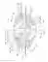 Fig. 22 - System and method for improving the accomodative amplitude and increasing the refractive power of the human lens with a laser