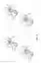 Fig. 03 - Systems and methods for facilitating movement of a patient transport apparatus