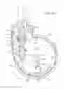 Fig. 05 - Systems and methods for facilitating movement of a patient transport apparatus