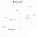 Fig. 22 - Joint assembly and motion assistance device comprising the joint assembly