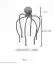 Fig. 02 - HEAD AND SCALP DEVICE AND USES THEREOF