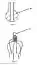 Fig. 07 - HEAD AND SCALP DEVICE AND USES THEREOF