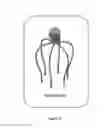 Fig. 08 - HEAD AND SCALP DEVICE AND USES THEREOF