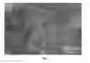 Fig. 03 - UV-filters, method of producing the same and their use in compositions, in particular sunscreens