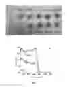 Fig. 06 - UV-filters, method of producing the same and their use in compositions, in particular sunscreens