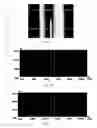 Fig. 03 - Method to provide hair shine and compositions to be used therein