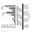 Fig. 07 - Polymeric particles, method for cytosolic delivery of cargo, methods of making the particles