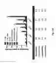 Fig. 08 - Polymeric particles, method for cytosolic delivery of cargo, methods of making the particles