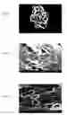 Fig. 07 - Stabilized HME composition with small drug particles