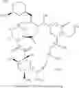 Fig. 02 - Stabilized tacrolimus composition