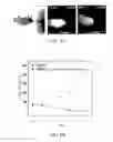 Fig. 08 - Polymer, thermosensitive carrier and use thereof