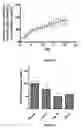 Fig. 13 - Method for treating secondary hyperparathyroidism in CKD