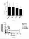 Fig. 14 - Method for treating secondary hyperparathyroidism in CKD