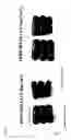 Fig. 10 - Modified release coated capsules