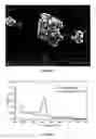Fig. 05 - Disintegratable core/shell silica particles for encapsulating and releasing bioactive macromolecules