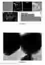 Fig. 12 - Disintegratable core/shell silica particles for encapsulating and releasing bioactive macromolecules