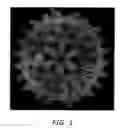 Fig. 02 - SELF-ASSEMBLING NANOPARTICLE DRUG DELIVERY SYSTEM