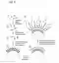 Fig. 06 - SELF-ASSEMBLING NANOPARTICLE DRUG DELIVERY SYSTEM