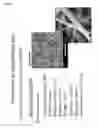 Fig. 06 - Compositions comprising electrohydrodynamically obtained fibres for administration of specific doses of an active substance to skin or mucosa