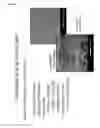 Fig. 07 - Compositions comprising electrohydrodynamically obtained fibres for administration of specific doses of an active substance to skin or mucosa
