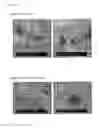Fig. 16 - Compositions comprising electrohydrodynamically obtained fibres for administration of specific doses of an active substance to skin or mucosa