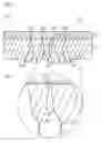 Fig. 08 - Transdermal absorption sheet, and manufacturing method for the same