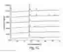 Fig. 03 - INHALABLE EPINEPHRINE