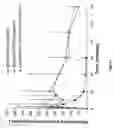 Fig. 13 - INHALABLE EPINEPHRINE