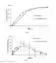 Fig. 03 - Metoprolol sustained-release composition and preparation method thereof