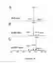 Fig. 28 - Nitrated lipids and methods of making and using thereof
