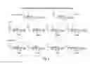 Fig. 06 - CDC7 kinase inhibitors and uses thereof
