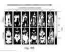 Fig. 19 - CDC7 kinase inhibitors and uses thereof