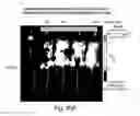 Fig. 23 - CDC7 kinase inhibitors and uses thereof