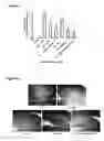 Fig. 06 - Compounds and pharmaceutical combinations for the treatment of neurodegenerative and ischemic brain diseases