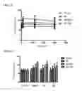 Fig. 03 - Compound having higher inhibitory activity on protein kinase G and preparation method thereof