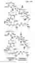 Fig. 110 - Macrocyclic lactone compounds and methods for their use